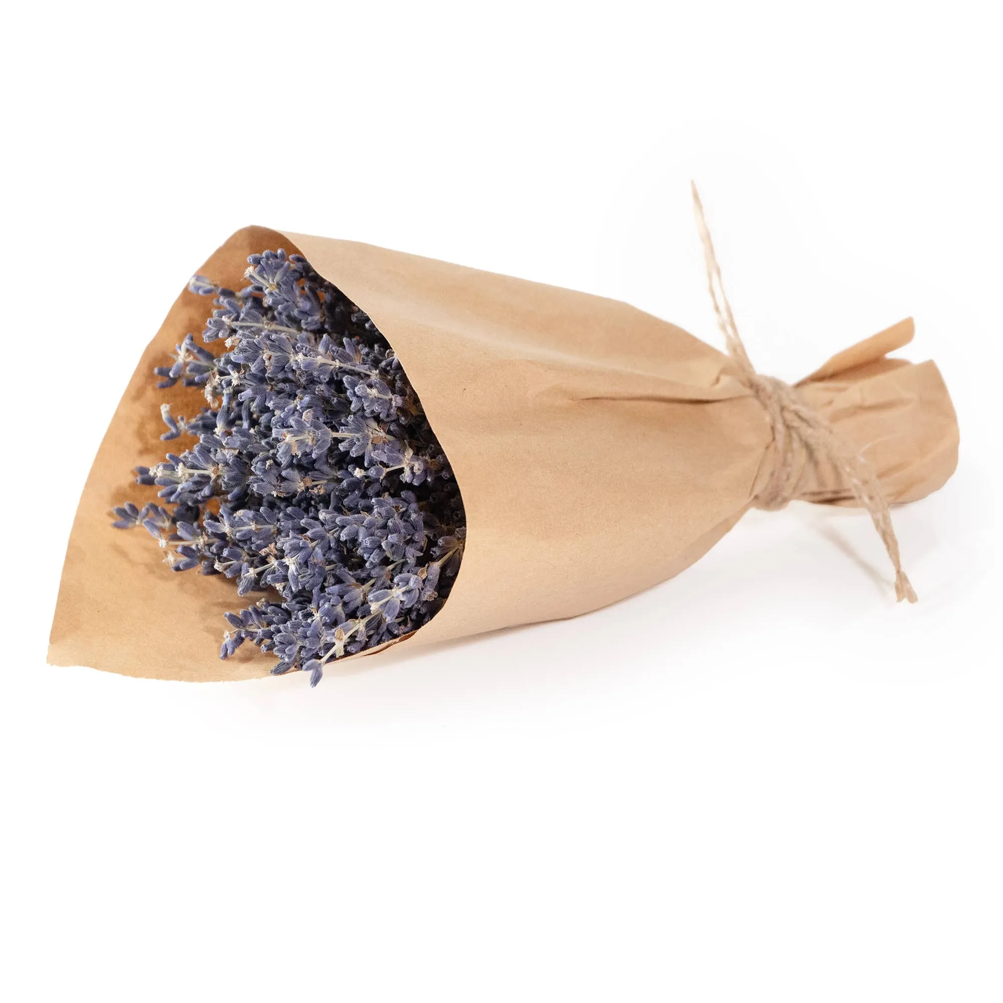 French Lavender Mini Bundle