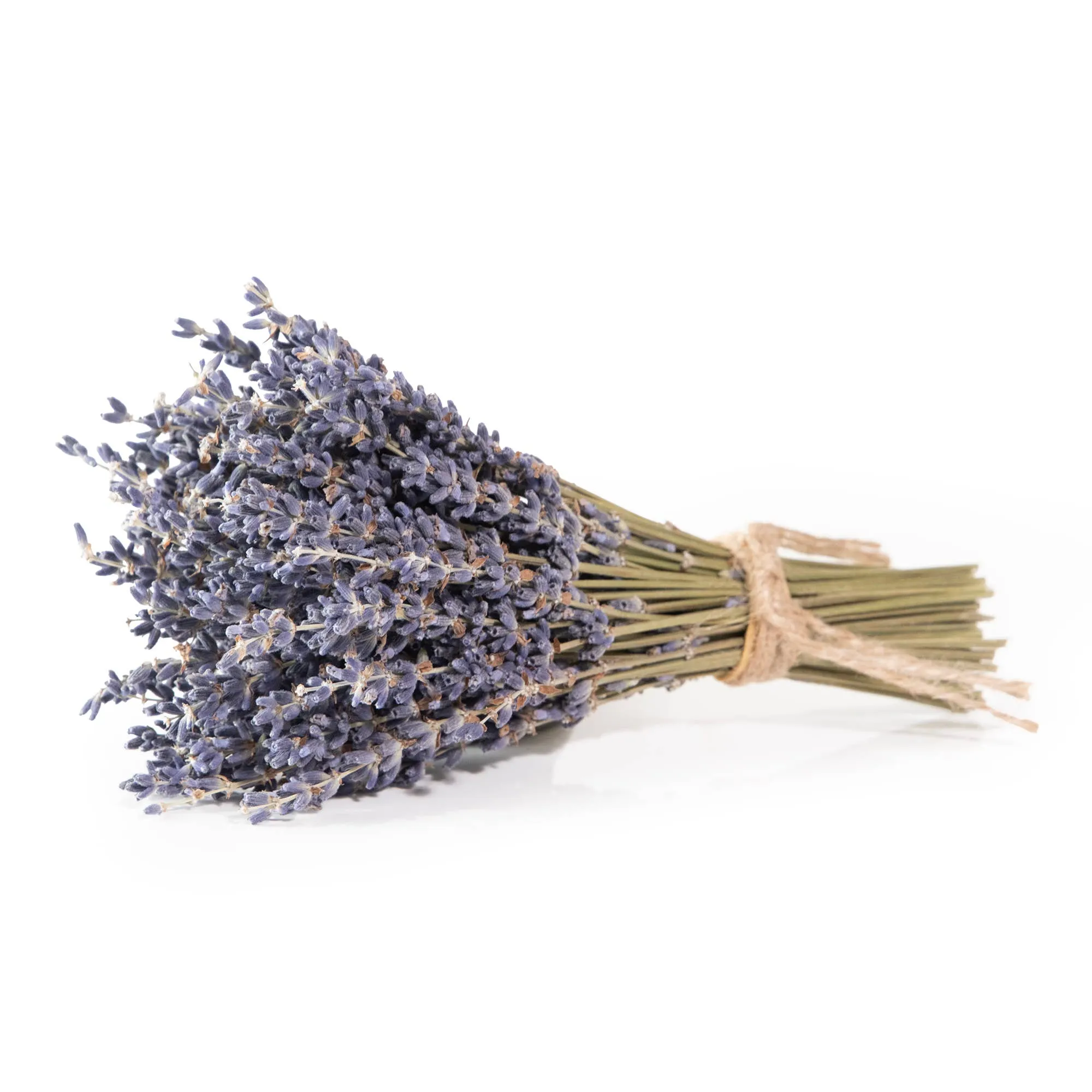 French Lavender Mini Bundle