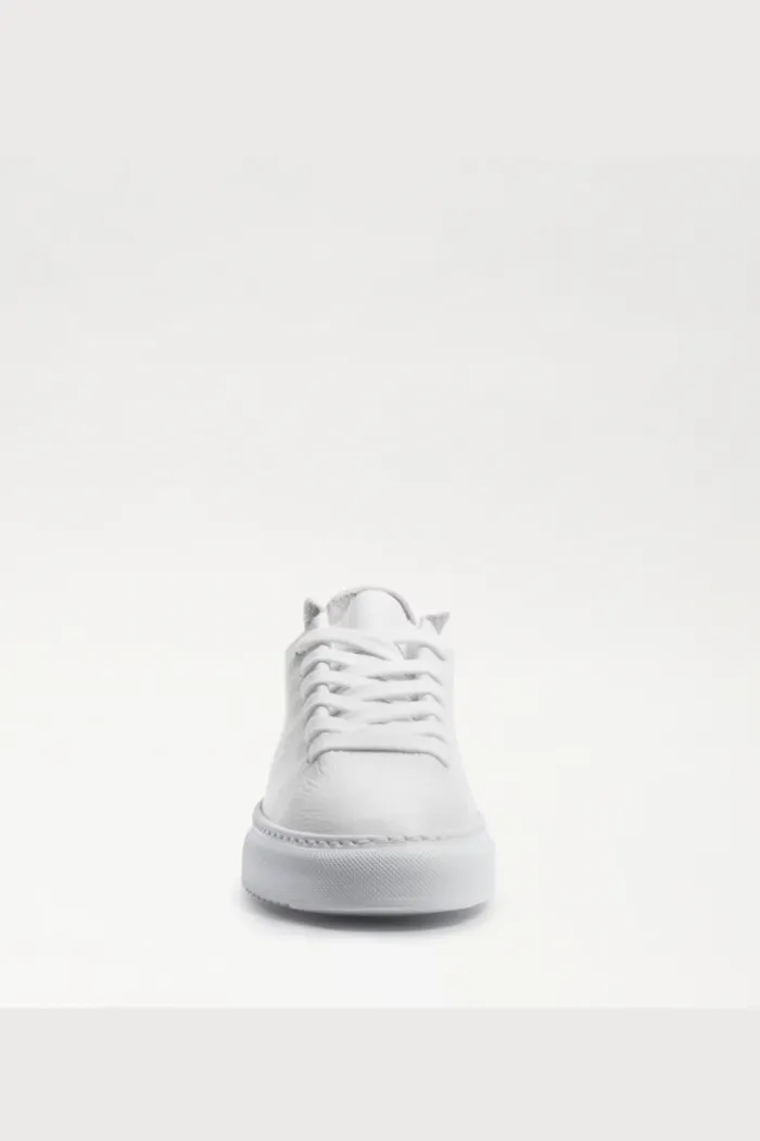 Poppy Lace Up Sneaker- White