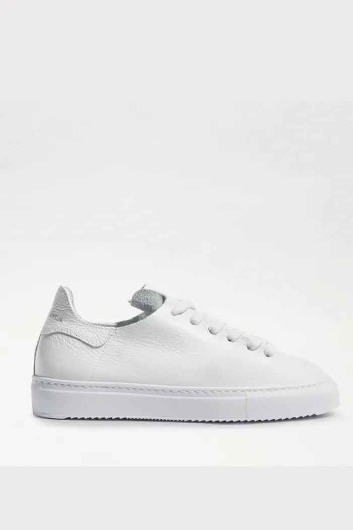 Poppy Lace Up Sneaker- White