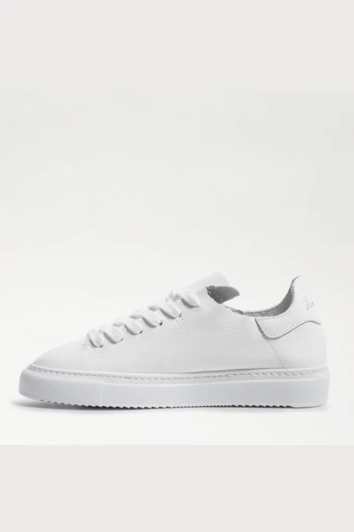 Poppy Lace Up Sneaker- White