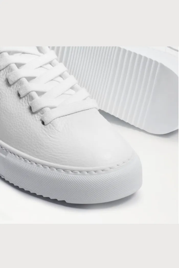 Poppy Lace Up Sneaker- White